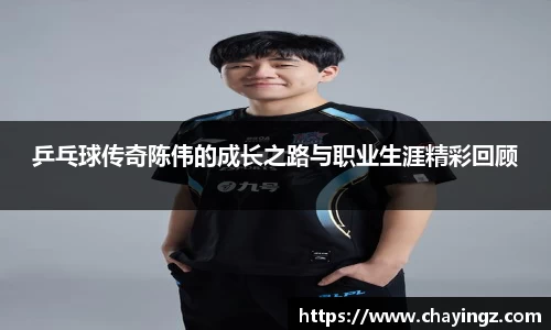 乒乓球传奇陈伟的成长之路与职业生涯精彩回顾